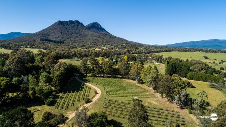 75424597 829212510882758 3958415977967779840 o 768x431