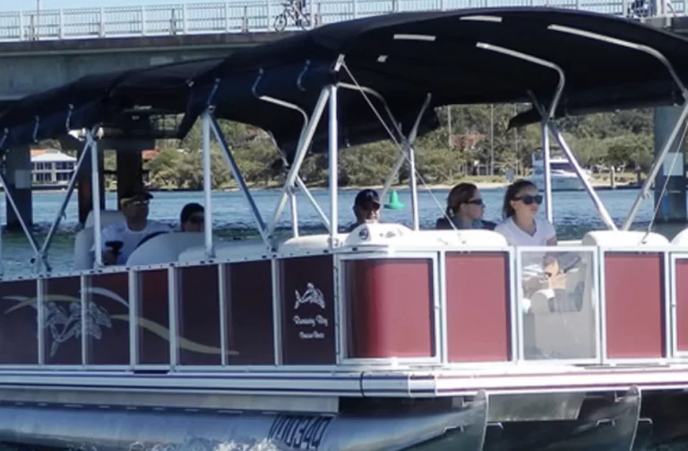 Screen Shot 2019 11 11 at 1.52.48 pm 768x503